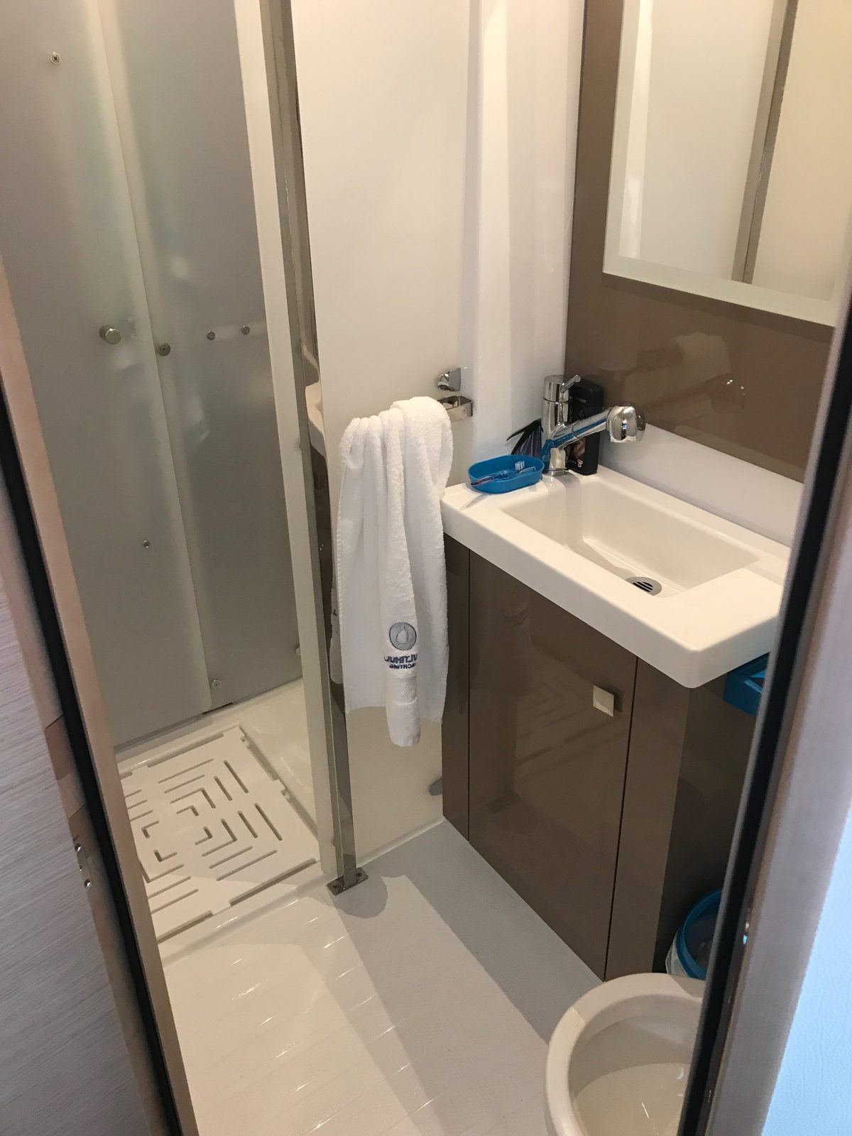 Private bathroom with separate shower